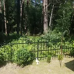 Romantisches Kleines Altes Haeuschen Im Zauberwesenwald