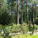 Romantisches Kleines Altes Haeuschen Im Zauberwesenwald