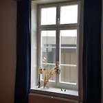 Wohnung In Der Altstadt!