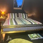 Luett_Curiosa