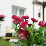 Apartments Les Jardins