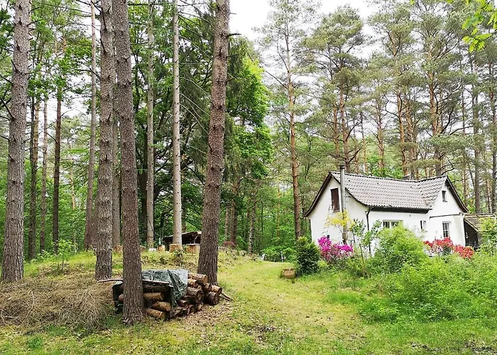 Romantisches Kleines Altes Haeuschen Im Zauberwesenwald
