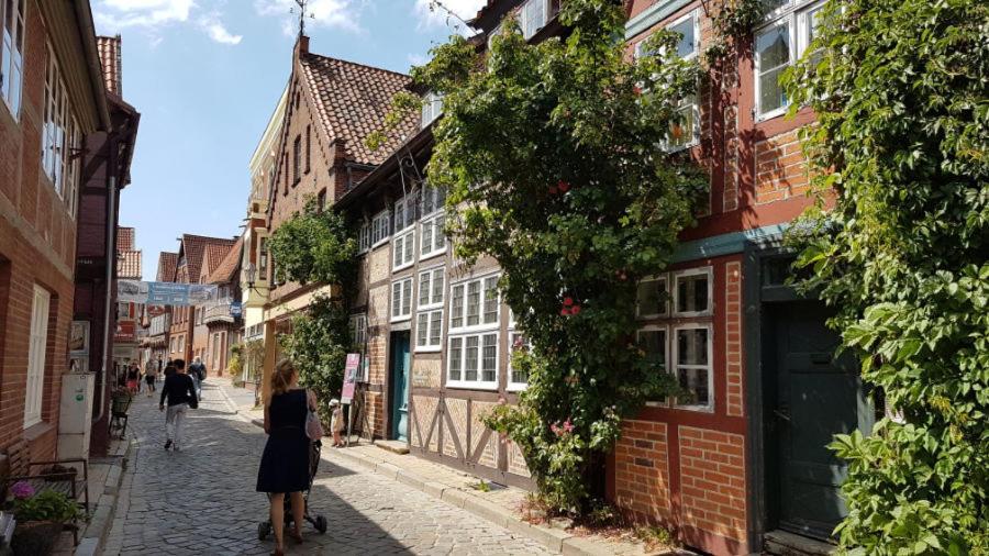 Haus Anna Elbe, Bauernhaus-ferienwohnungen An Der Elbe Appartement