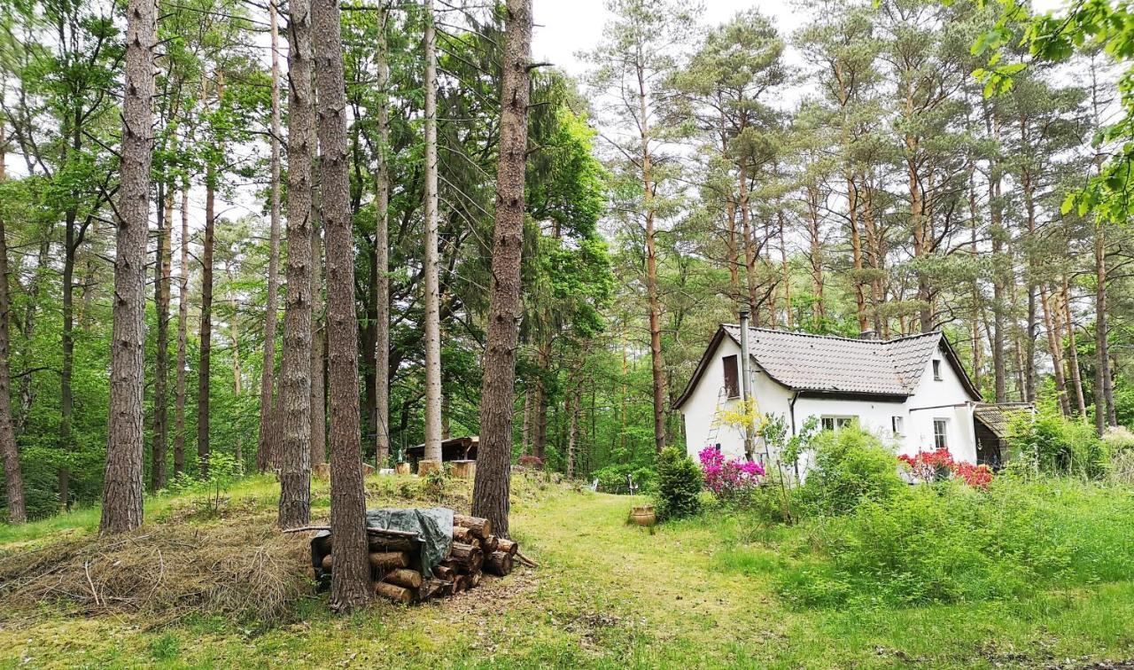 Vakantiehuis Romantisches Kleines Altes Hauschen Im Zauberwesenwald Hamburg-Harburg
