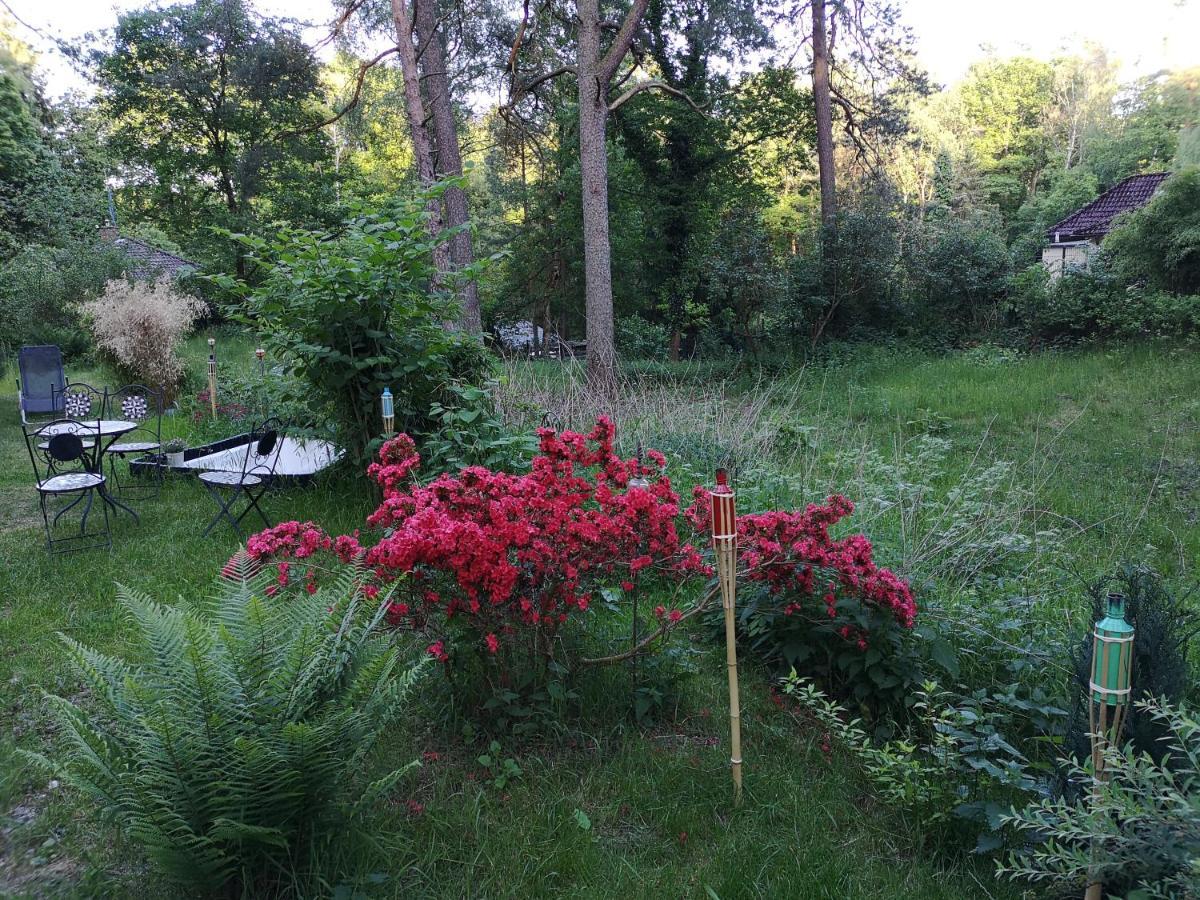 Vakantiehuis Romantisches Kleines Altes Hauschen Im Zauberwesenwald Hamburg-Harburg