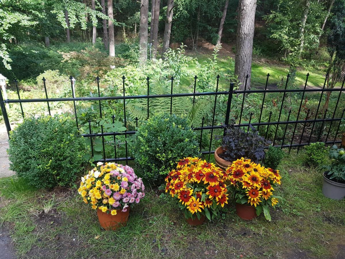 Romantisches Kleines Altes Hauschen Im Zauberwesenwald Vakantiehuis *
