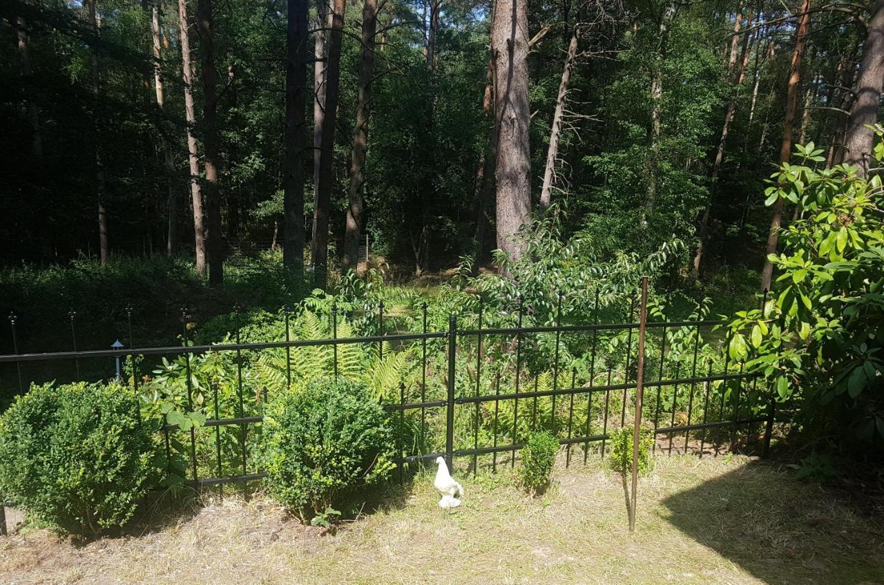 Romantisches Kleines Altes Hauschen Im Zauberwesenwald Vakantiehuis Hamburg-Harburg