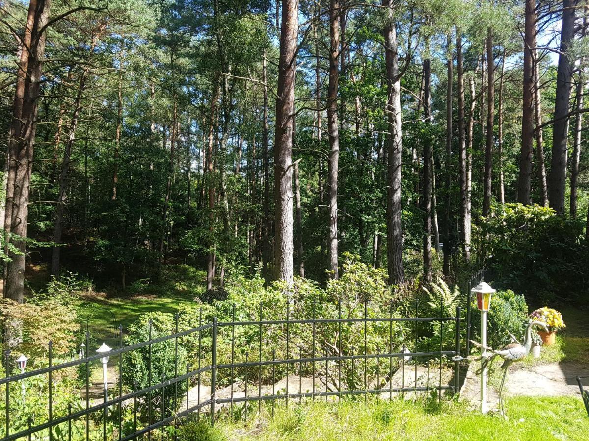 Vakantiehuis Romantisches Kleines Altes Hauschen Im Zauberwesenwald