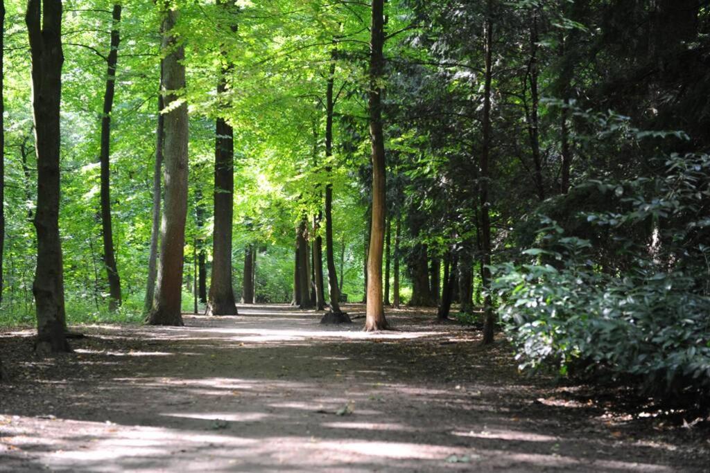 Stadtpark-domizil - 70 Qm, Zentral&ruhig *