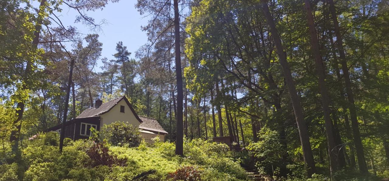 Romantisches Kleines Altes Hauschen Im Zauberwesenwald Hamburg-Harburg