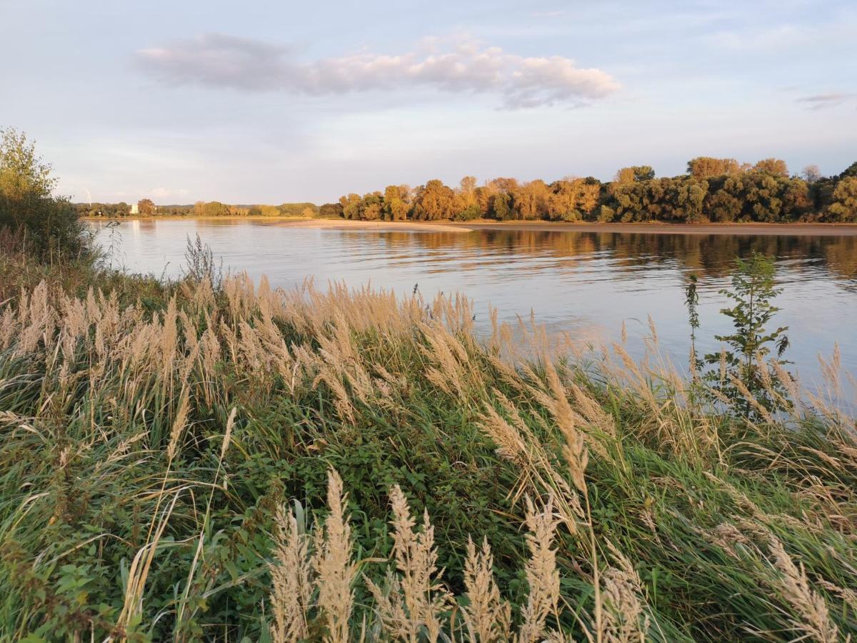 Haus Am Deich 47 Stilvolles An Der Elbe In Stadtnaehe Holiday home *