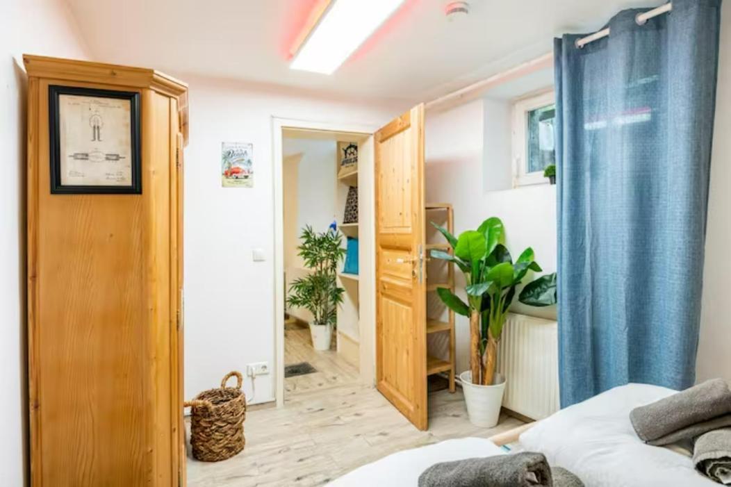 Gemuetliche 3-zkb Wc Souterrainwohnung In Bestlage Apartment