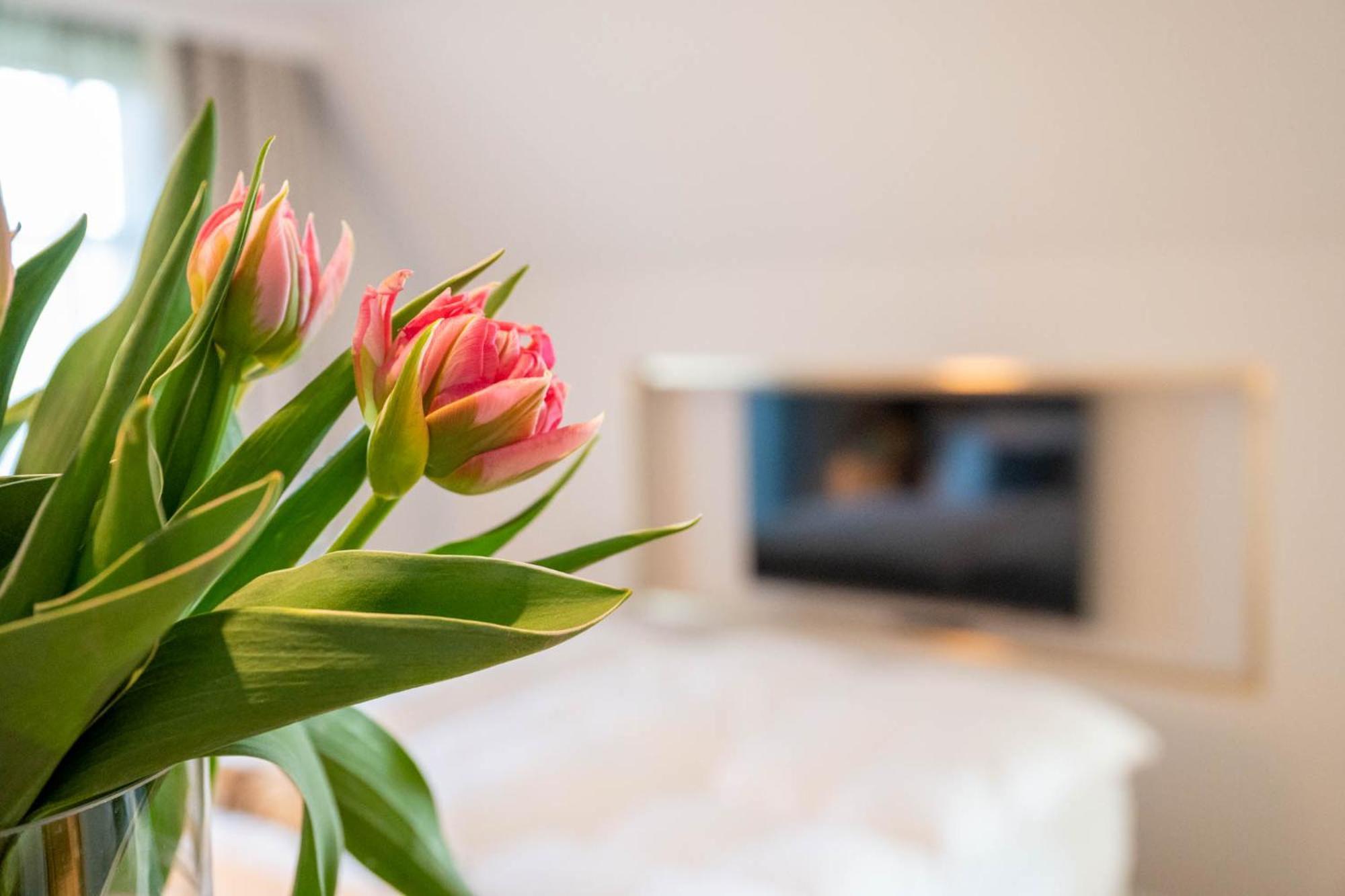 Hotel Clounys Hamburg-Harburg