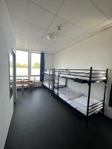 Hostel Arena & Monteurzimmer Hamburg