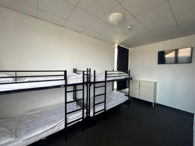 Hostel Arena & Monteurzimmer
