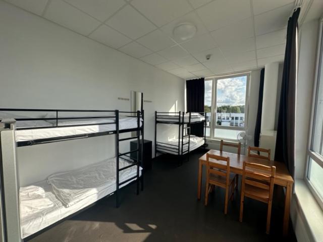 Hostel Arena & Monteurzimmer *