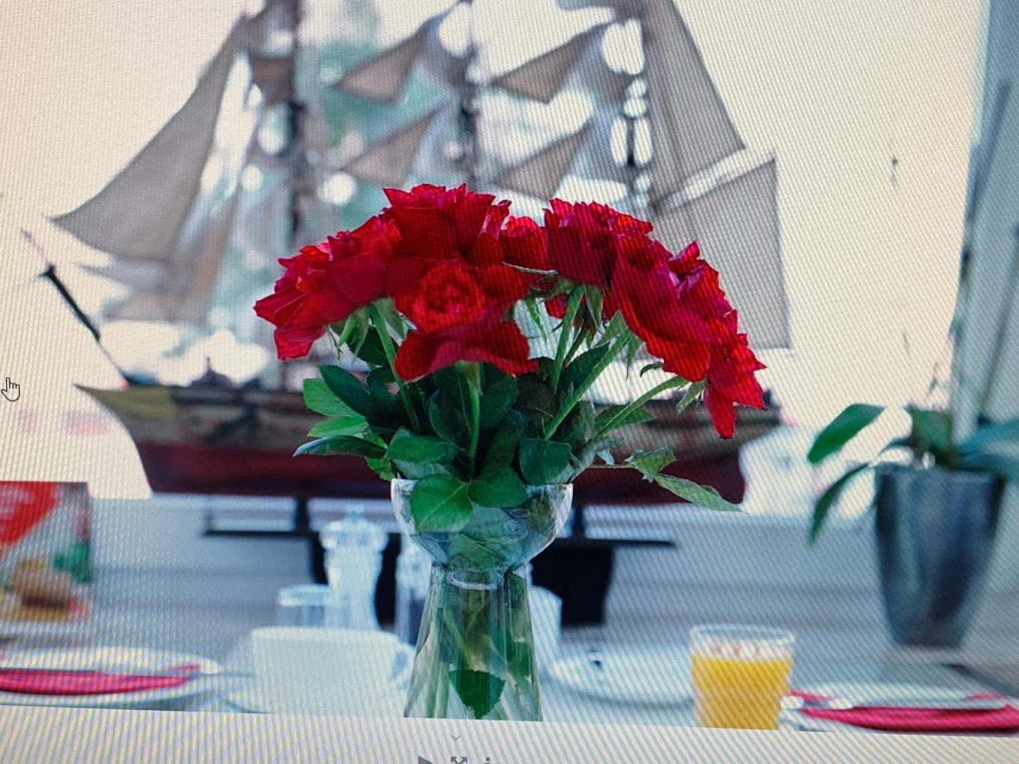 Boritzka Guest house *