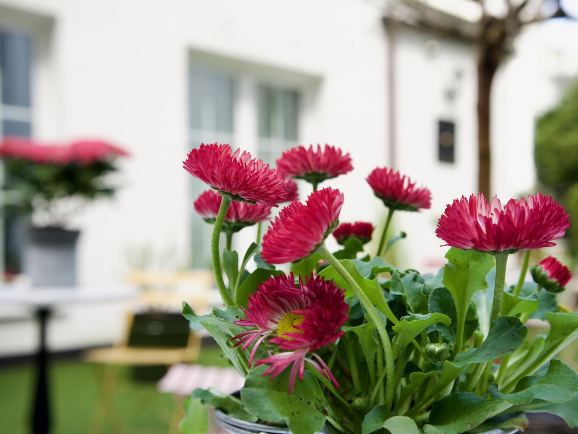 Les Jardins 3*