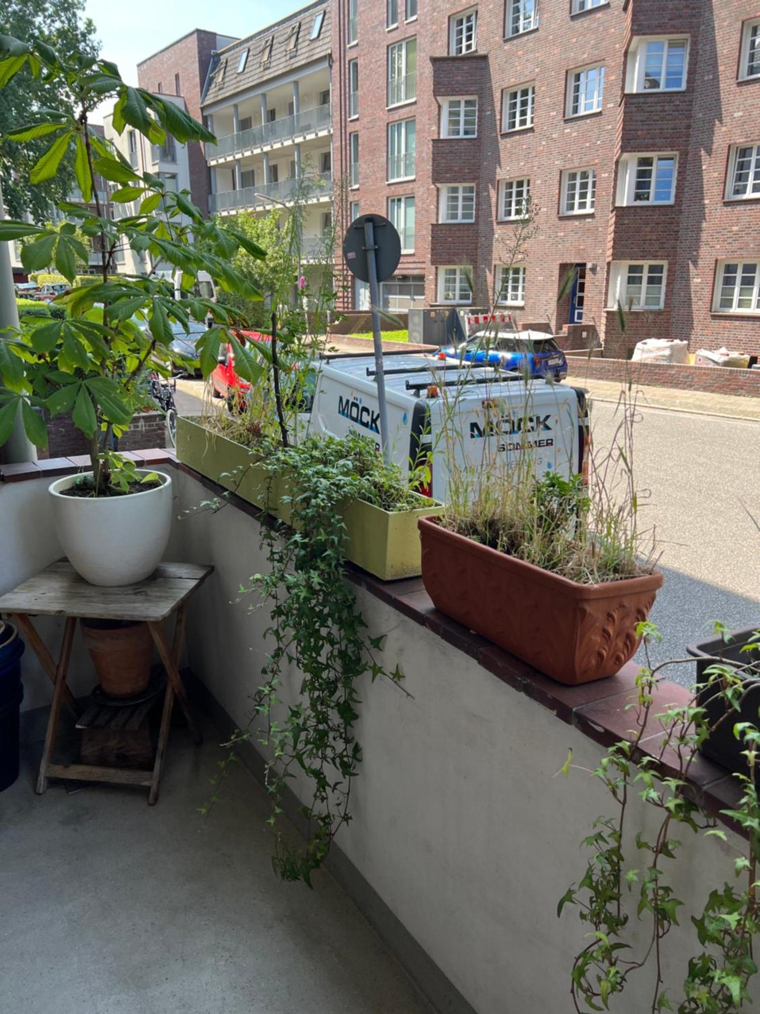 Homestay Zwischen Stadtpark Und Alsterlauf Budget *