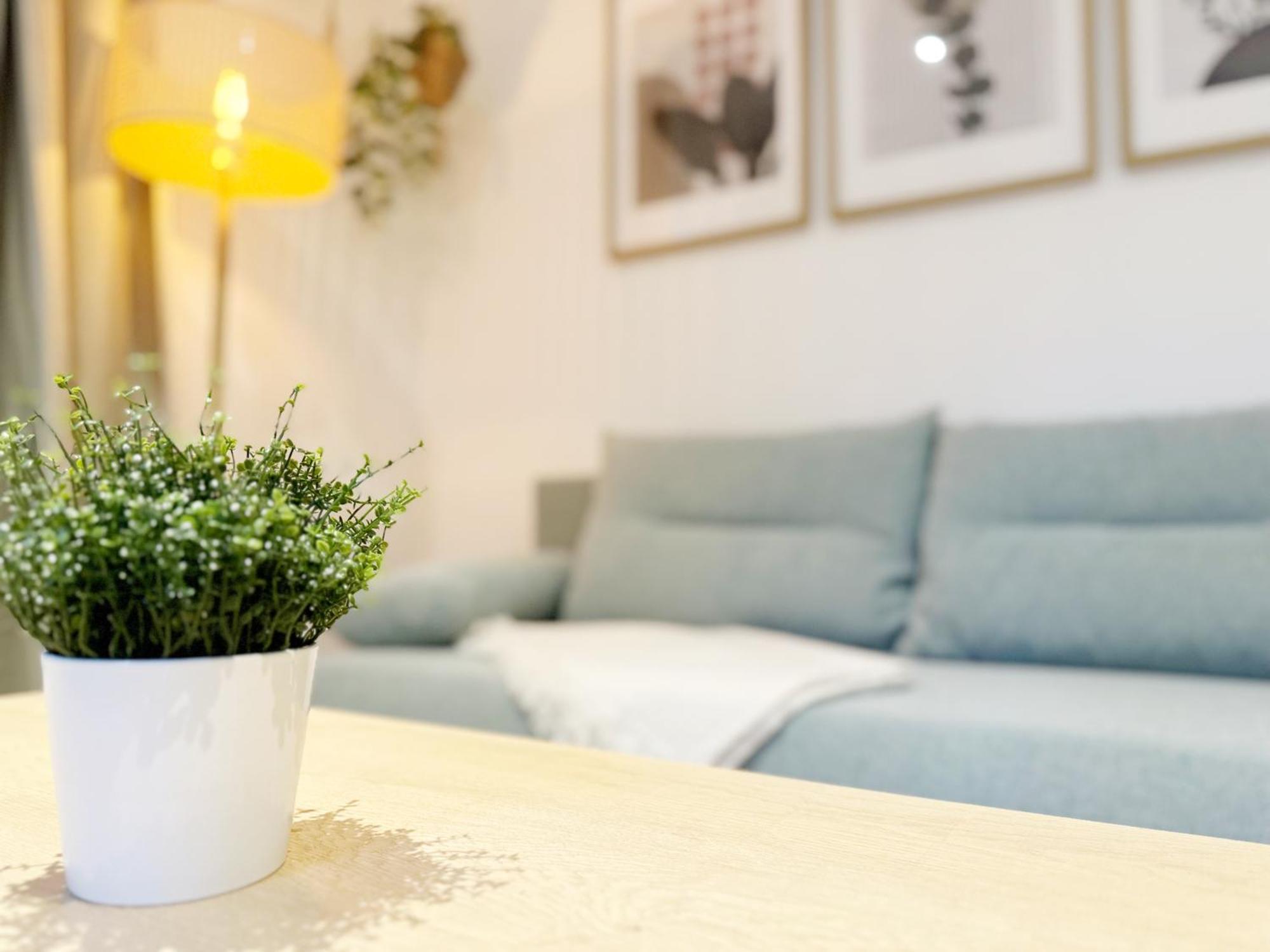 Gemuetliches 2 Ambient Mit Queensize-bett , Etagenbett& Schlafsofa In Alsternaehe Apartment *