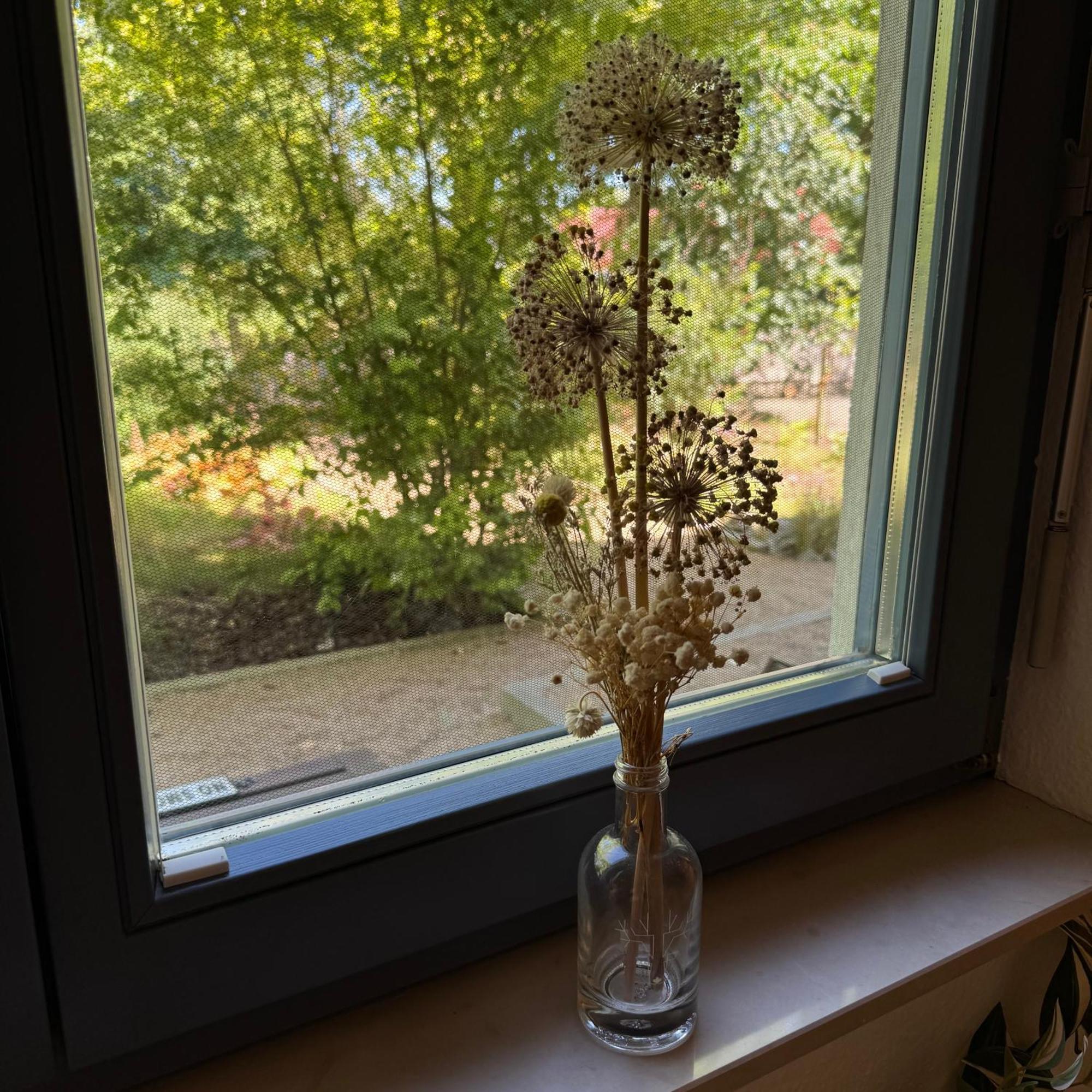 Elbinsel-home 'alpakaliebe' Apartment *