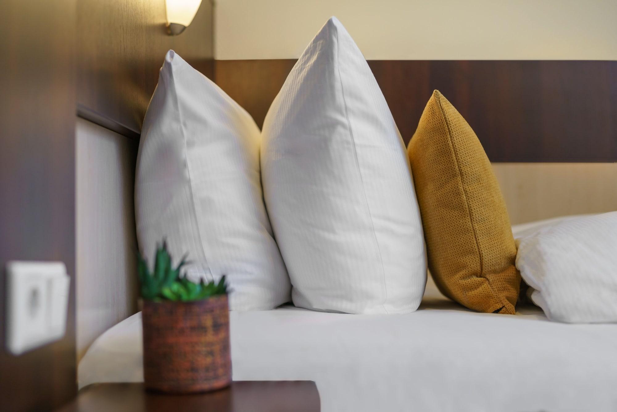 Novum Eleazar Center 4*