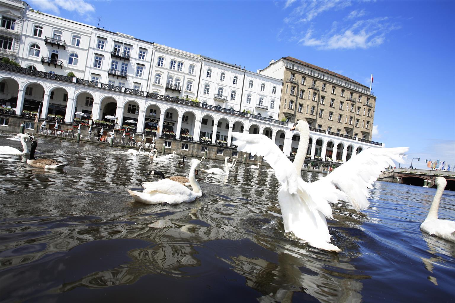 Best Western Plus St. Raphael Hotel 4*