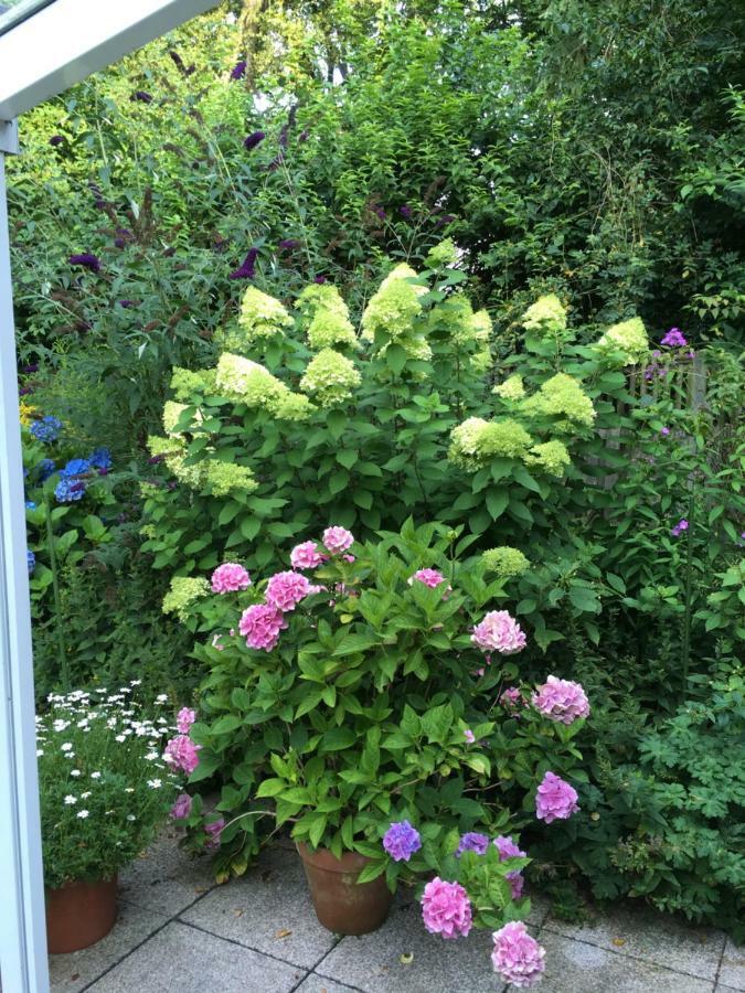 Bed & Breakfast Bigalke Bed & Breakfast Hamburg