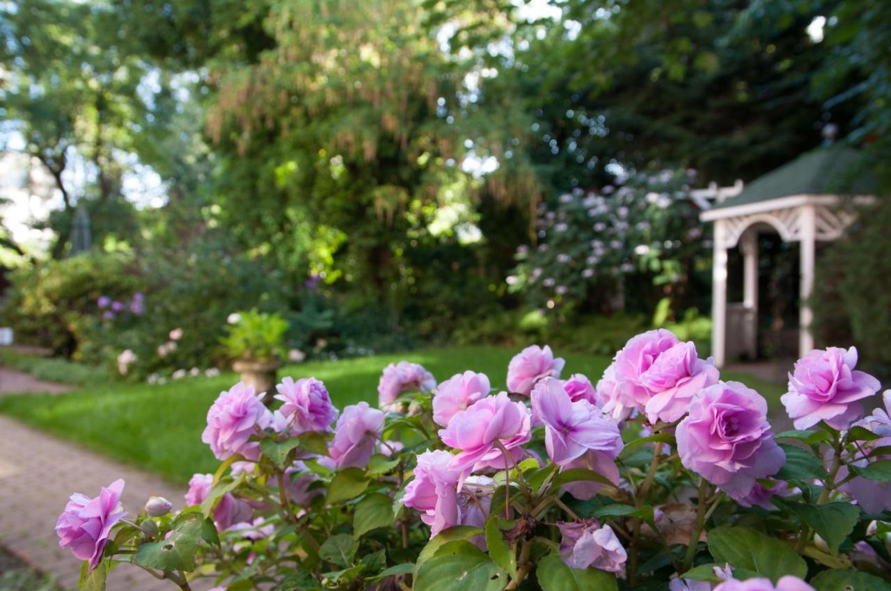 Von Deska - Ivy House Aparthotel 3*