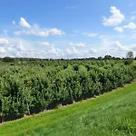 Fewo Im Alten Land