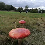 Natureview