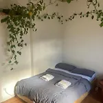 Sonniges Zimmer Sternschanze