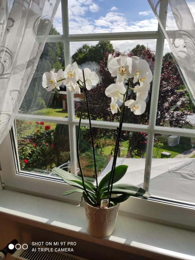 Appartement Blumen *