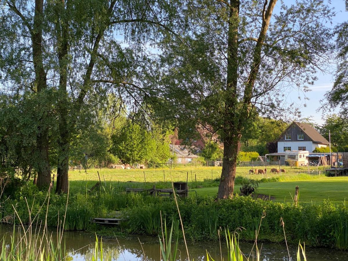 Elbinsel-home 'alpakaliebe' *