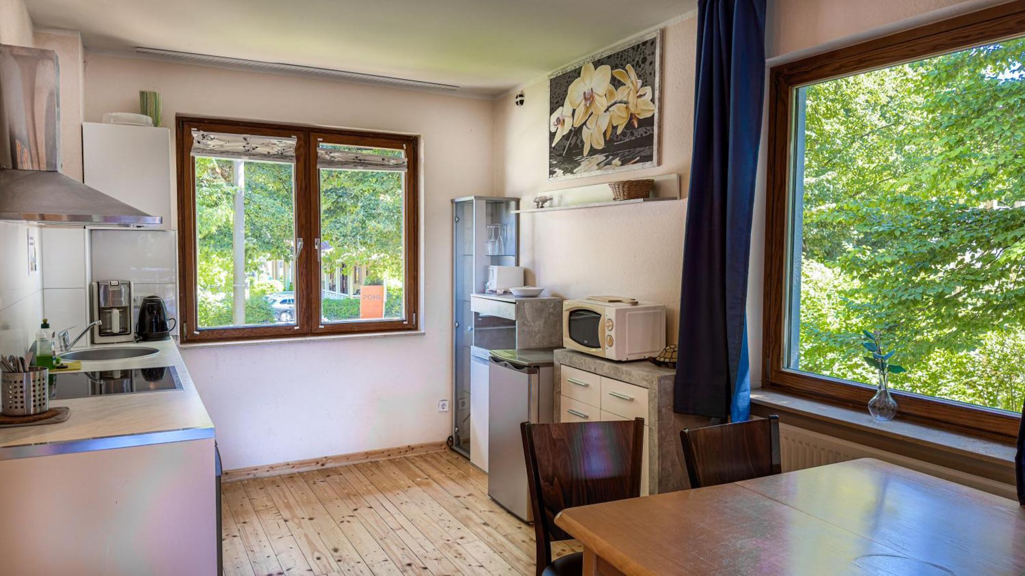 Apartment Hansa *