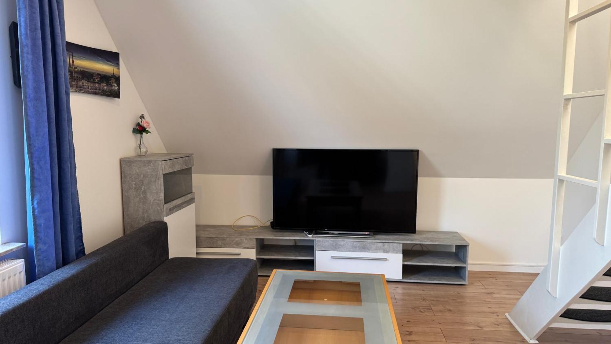 Apartment Hansa *