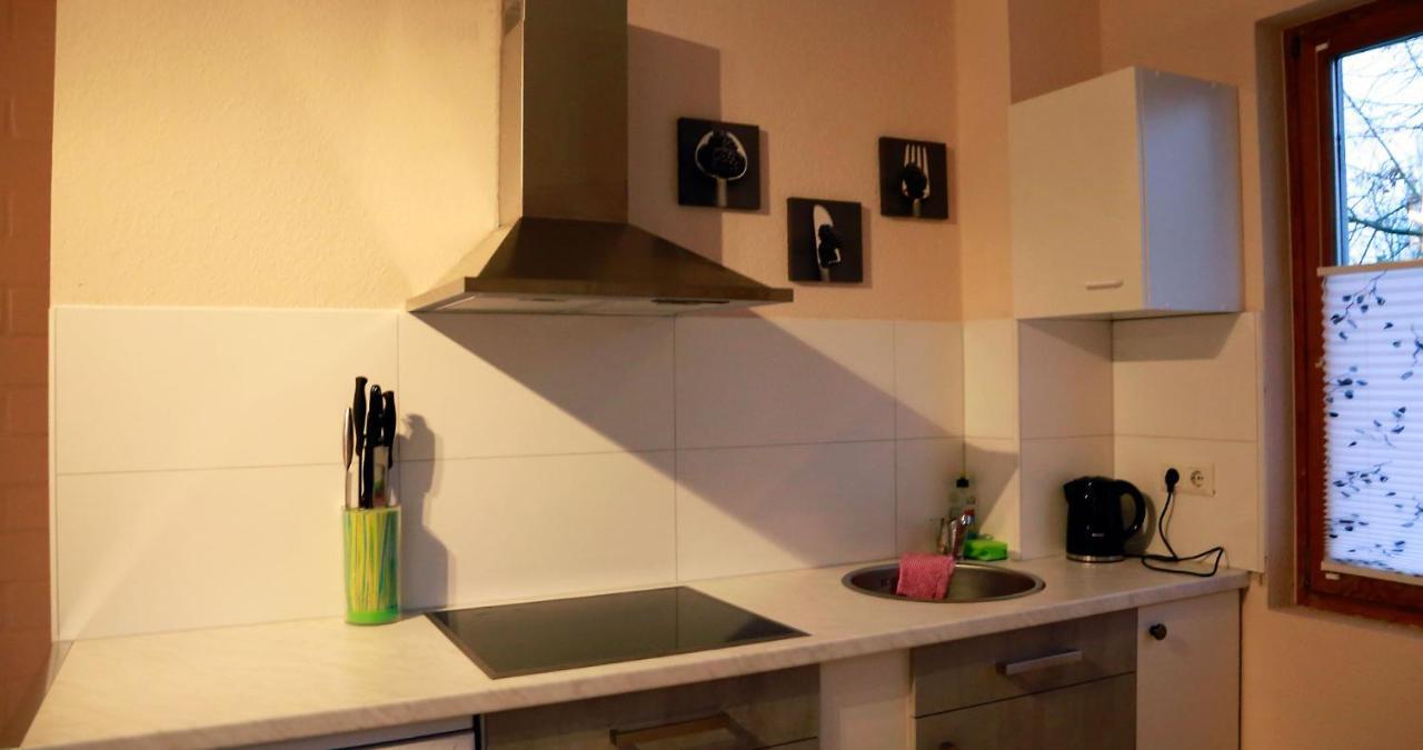 Apartment Hansa *